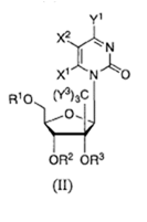 Cytidine having the following substituents in place of the native groups: C(Y3)3 at position 2'-B, OR3 at 2'-a, OR2 at 3'-a, OR1 at 5', Y1 at 4, X2 at 5 and X1 at 6  